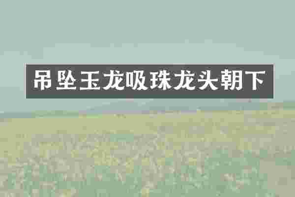 吊坠玉龙吸珠龙头朝下