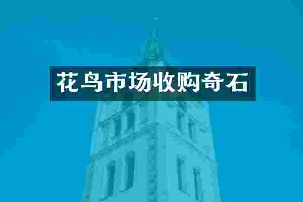 花鸟市场收购奇石