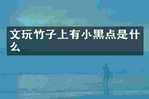 文玩竹子上有小黑点是什么
