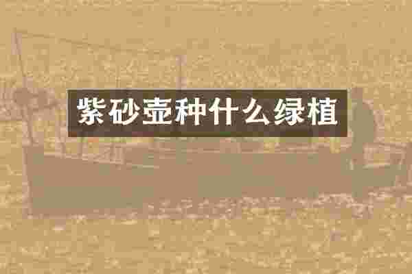 紫砂壶种什么绿植