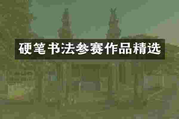 硬笔书法参赛作品精选