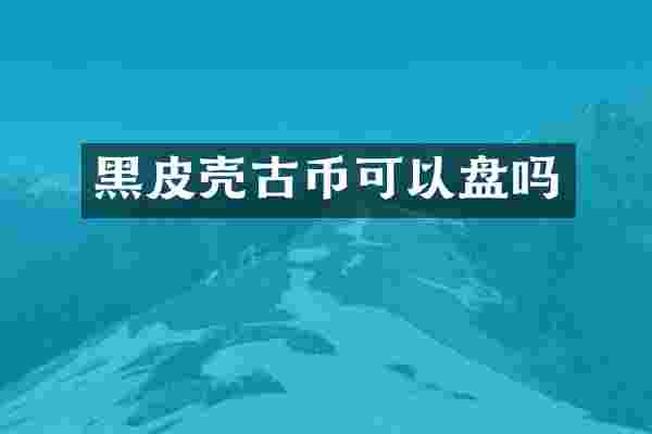 黑皮壳古币可以盘吗