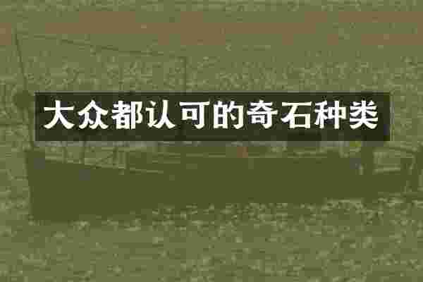 大众都认可的奇石种类