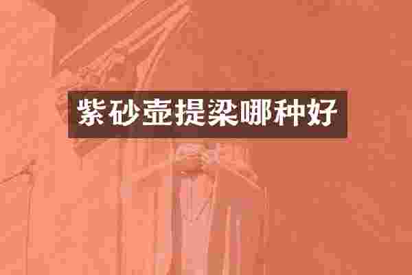 紫砂壶提梁哪种好