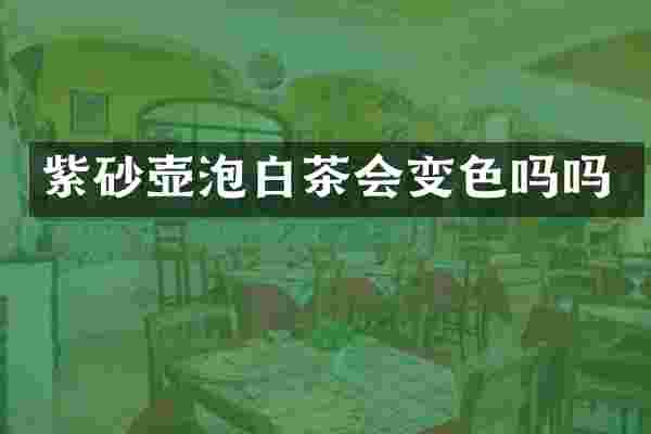 紫砂壶泡白茶会变色吗吗