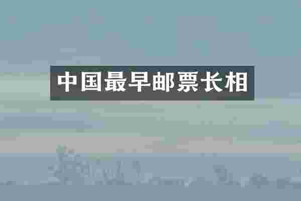 中国最早邮票长相