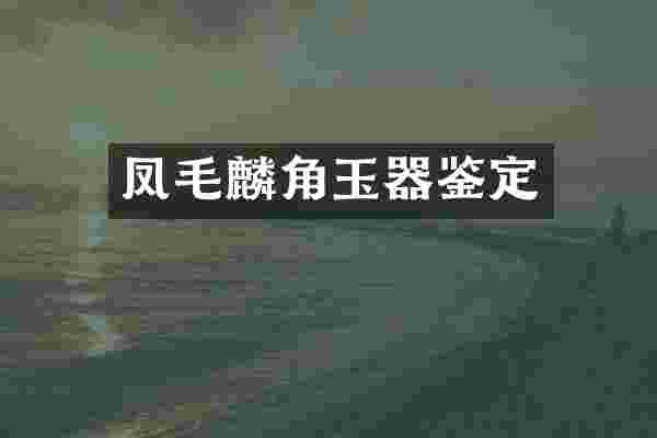 凤毛麟角玉器鉴定