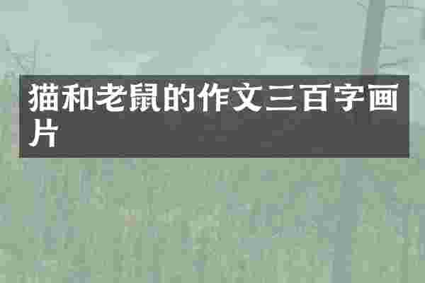 猫和老鼠的作文三百字画片