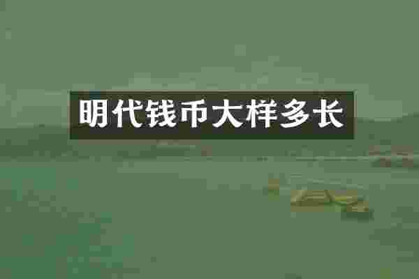 明代钱币大样多长