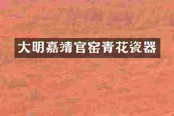 大明嘉靖官窑青花瓷器