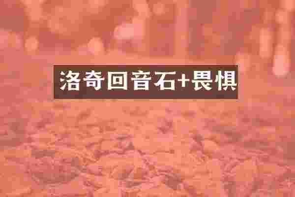 洛奇回音石+畏惧