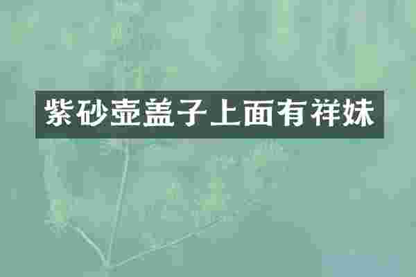 紫砂壶盖子上面有祥妹