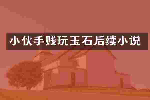 小伙手贱玩玉石后续小说