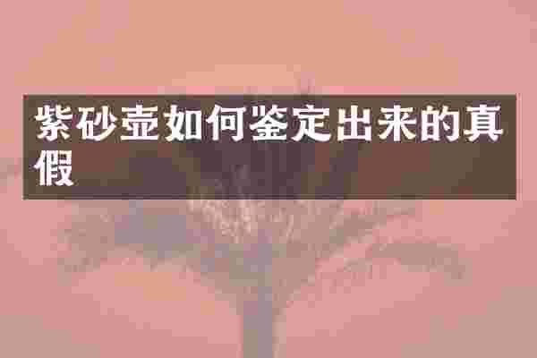 紫砂壶如何鉴定出来的真假