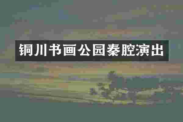 铜川书画公园秦腔演出