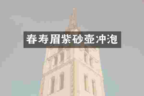 春寿眉紫砂壶冲泡