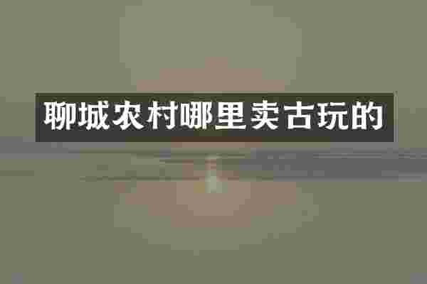 聊城农村哪里卖古玩的