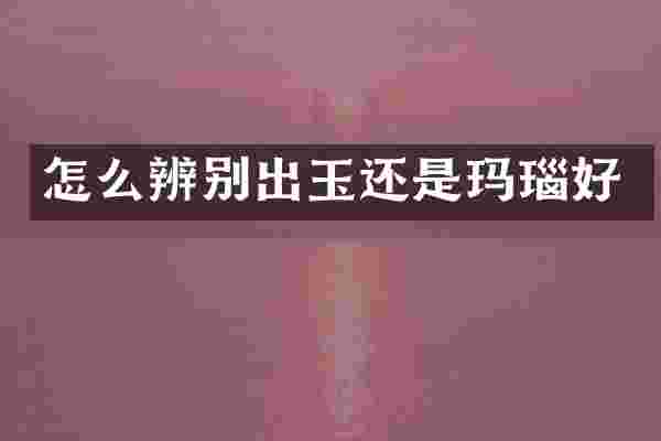 怎么辨别出玉还是玛瑙好