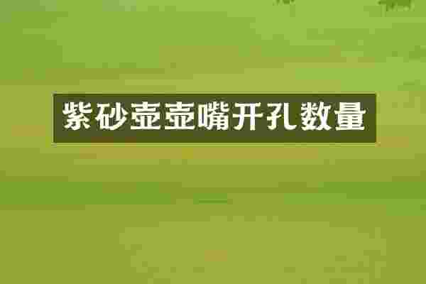紫砂壶壶嘴开孔数量