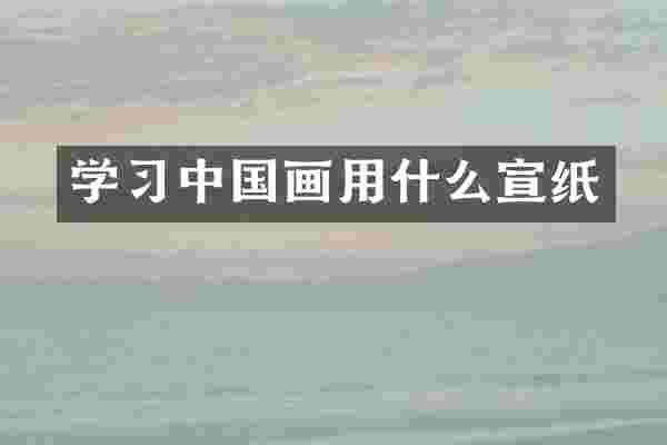学习中国画用什么宣纸