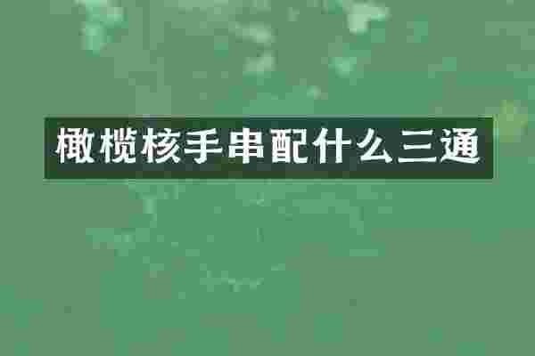 橄榄核手串配什么三通