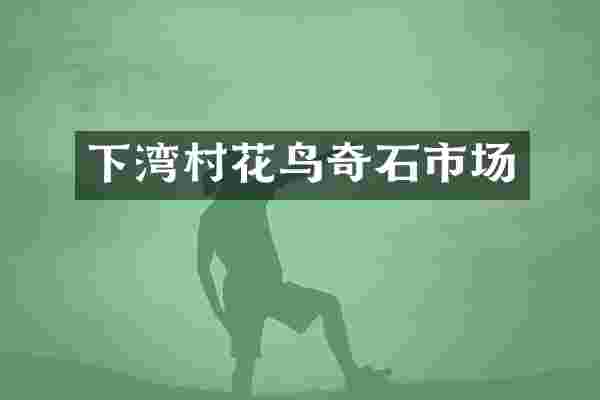 下湾村花鸟奇石市场