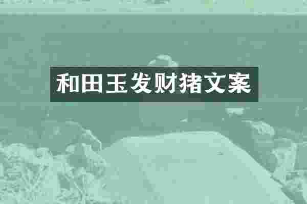和田玉发财猪文案