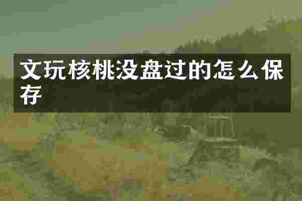 文玩核桃没盘过的怎么保存