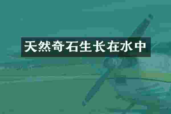 天然奇石生长在水中