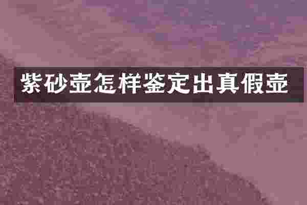 紫砂壶怎样鉴定出真假壶