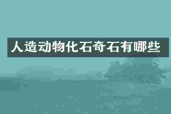 人造动物化石奇石有哪些