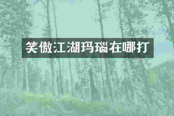 笑傲江湖玛瑙在哪打