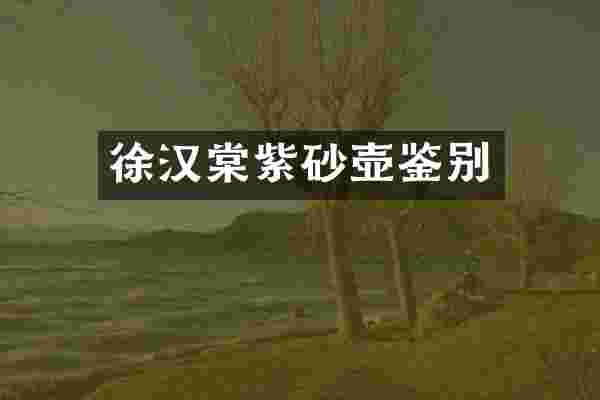 徐汉棠紫砂壶鉴别