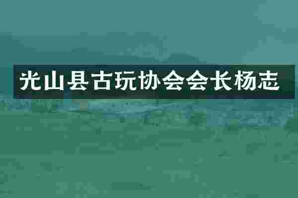 光山县古玩协会会长杨志