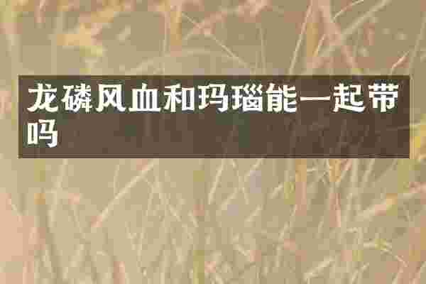 龙磷风血和玛瑙能一起带吗