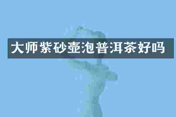 大师紫砂壶泡普洱茶好吗