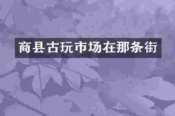 商县古玩市场在那条街