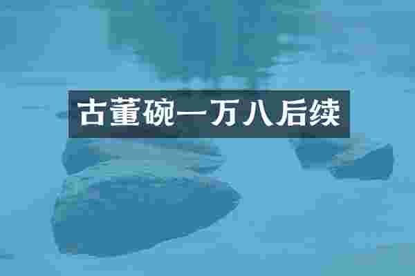 古董碗一万八后续