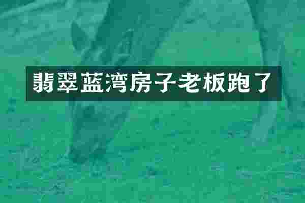 翡翠蓝湾房子老板跑了