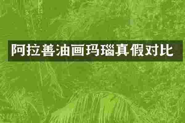 阿拉善油画玛瑙真假对比