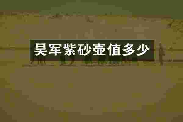 吴军紫砂壶值多少