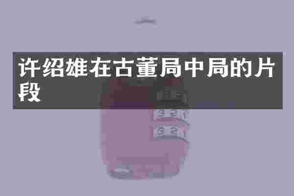 许绍雄在古董局中局的片段