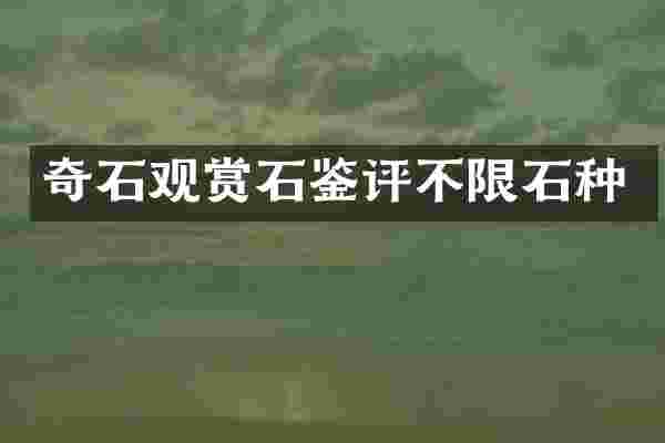 奇石观赏石鉴评不限石种