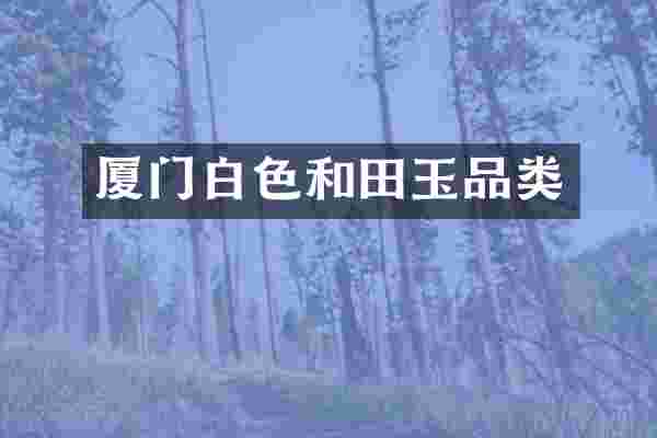 厦门白色和田玉品类