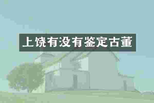 上饶有没有鉴定古董