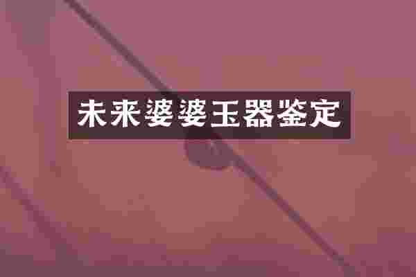 未来婆婆玉器鉴定