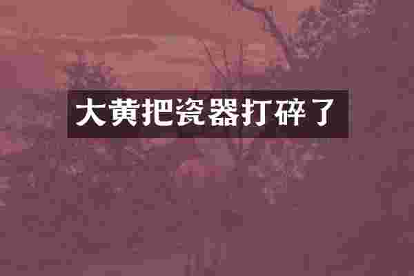 大黄把瓷器打碎了