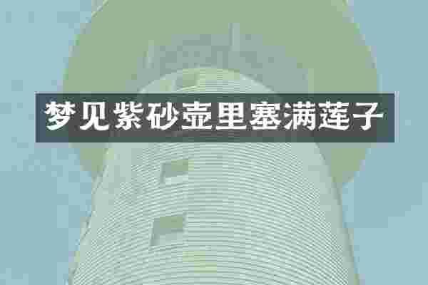 梦见紫砂壶里塞满莲子