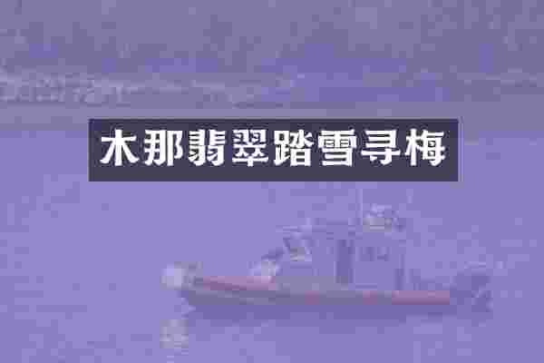 木那翡翠踏雪寻梅