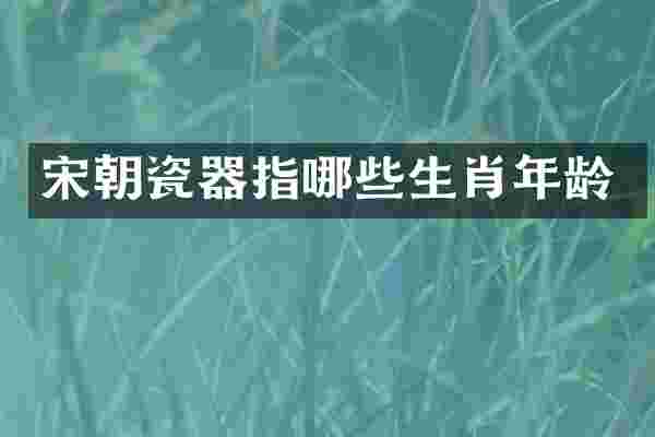 宋朝瓷器指哪些生肖年龄